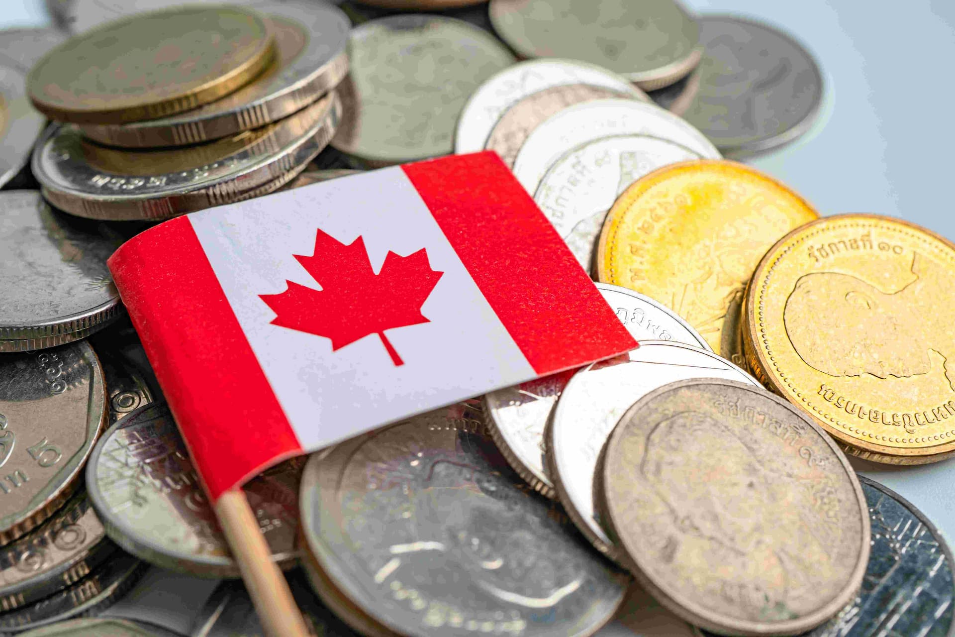 canadas-economy-contracts-in-november-despite-central-bank-rate-cuts