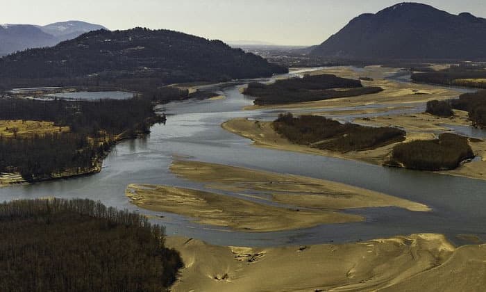 environmental-group-buys-fraser-river-island-near-chilliwack-b-c-to-protect-salmon