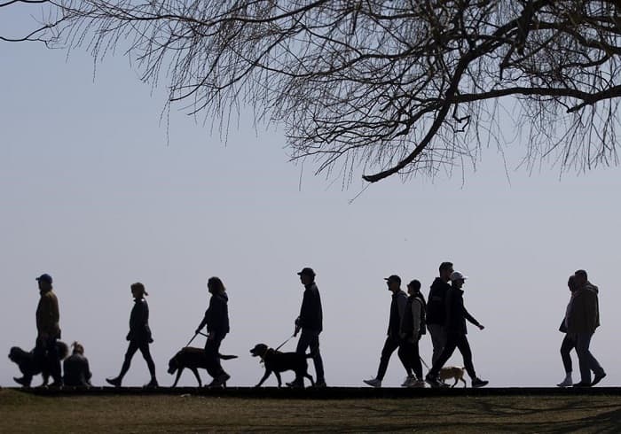 canadas-economy-grew-1-in-q3-driven-by-government-household-spending