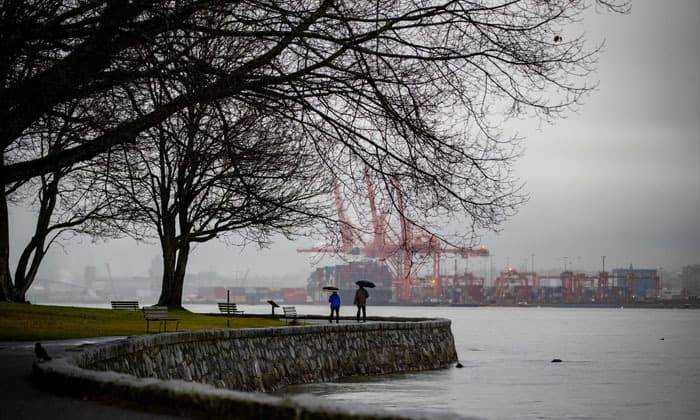 teen-dies-after-car-crashes-into-tree-in-vancouvers-stanley-park