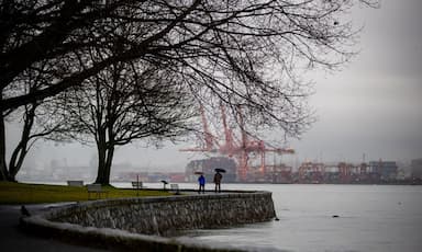 teen-dies-after-car-crashes-into-tree-in-vancouvers-stanley-park