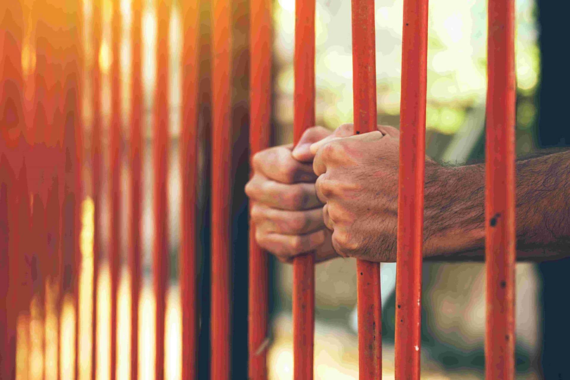 steve-shand-sentenced-to-six-and-a-half-years-in-prison