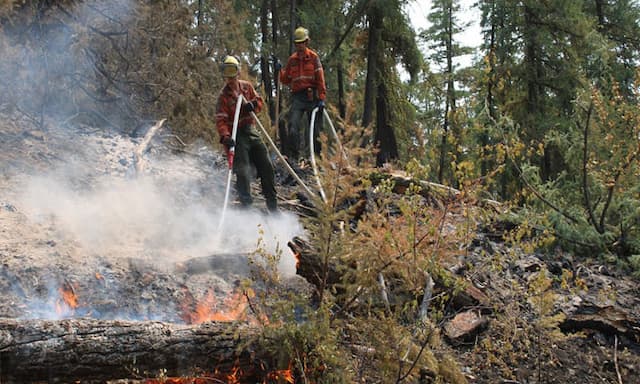 B.C. commits to earlier, enhanced pensions for wildland firefighters - https://cdn.connectfm.ca/wildfire_2024-09-16-195844_ybip.jpg